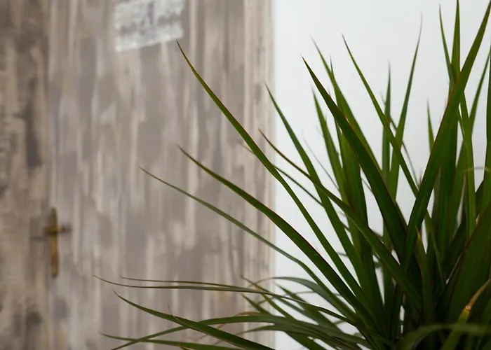 Pittas Апарт-отель 4*