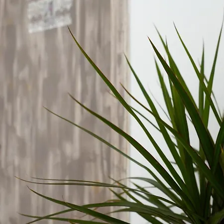 Pittas Hotel apartamentowy 4*